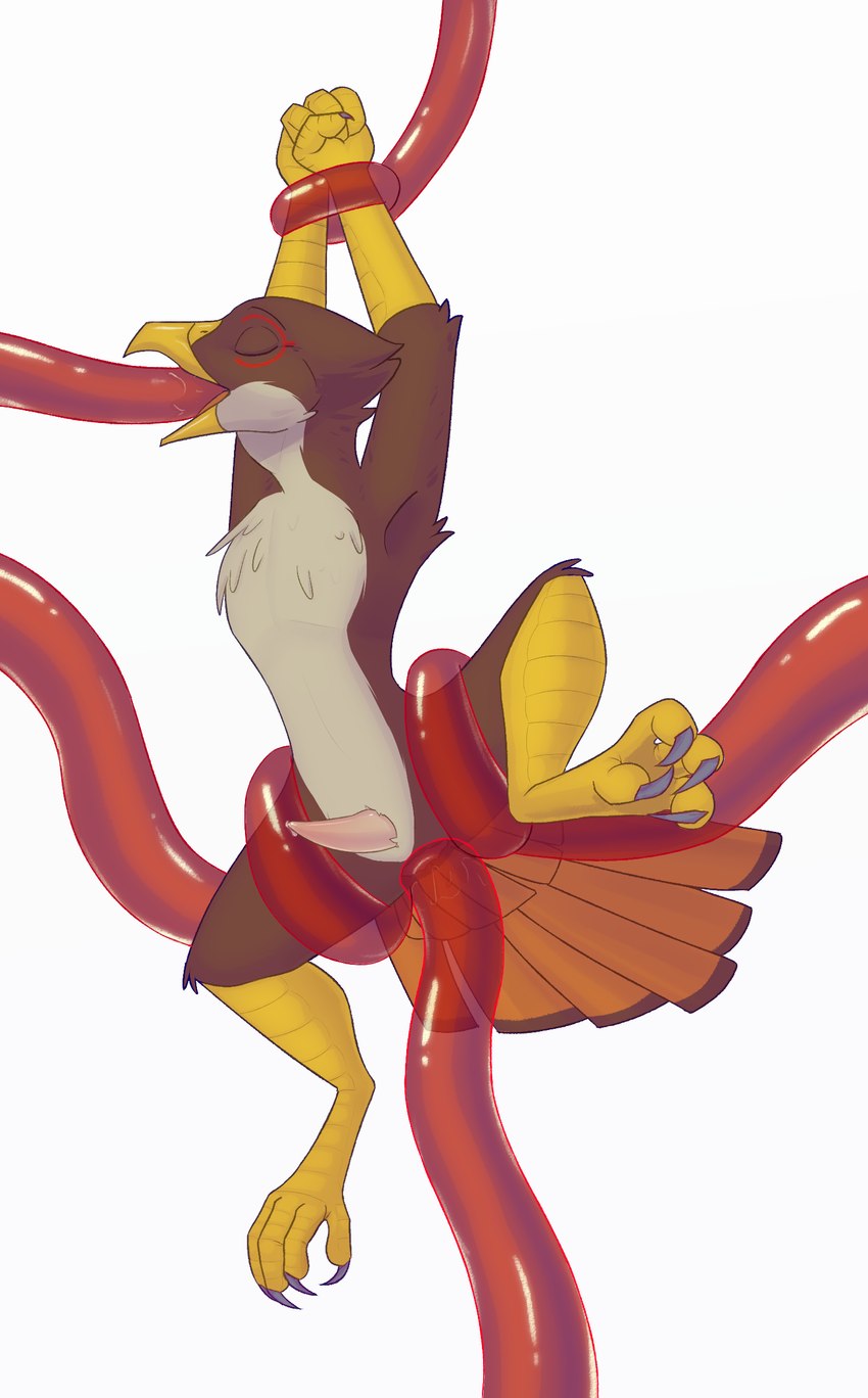 anal anal_penetration anthro deep_throat femboy male neck_bulge oral oral_penetration penetration solo tentacles lynxscorner accipiter_inkunen_(character) accipitrid accipitriform avian bird buteo chickenhawk red-tailed_hawk hi_res