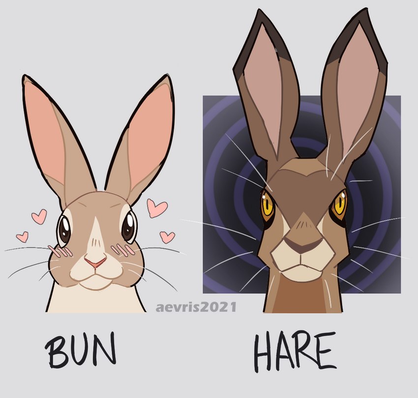 ambiguous_gender blush blush_lines duo feral front_view heart_symbol looking_at_viewer simple_background text aevris hare lagomorph leporid mammal rabbit 2021 english_text