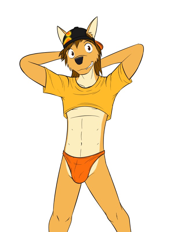 anthro bulge clothed clothing crop_top dancing hat headgear headwear male shirt simple_background solo thong topwear underwear white_background fuze texnatsu mond_reyes canid canine canis coyote mammal 3:4 hi_res