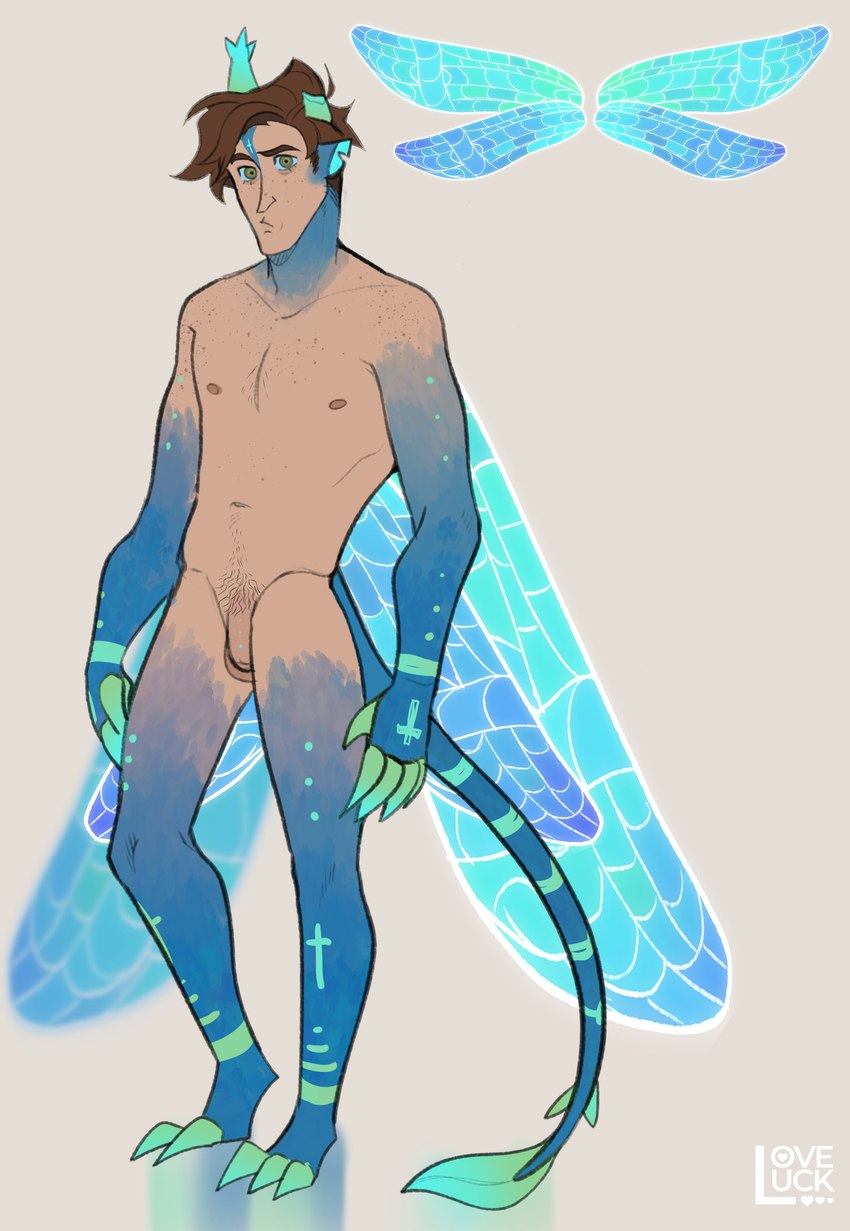 2_horns 3_toes 5_fingers alternate_species balls belly biped black_pubes blue_body blue_ears blue_exoskeleton blue_horn blue_sclera blue_tail blue_wings body_hair broken_horn brown_eyebrows brown_hair brown_nipples casual_nudity chest_hair collarbone exoskeleton eyebrows eyelashes feet fingers flaccid foreskin freckled_belly freckled_chest freckled_face freckled_shoulders freckles genitals glans gradient_horn green_eyes grey_background hair happy_trail horn humanoid_genitalia humanoid_penis insect_wings light_body light_skin male markings mouth_closed multicolored_horn navel nipples nude nude_humanoid nude_male partially_retracted_foreskin penis plantigrade pubes short_hair simple_background solo standing striped_markings striped_tail stripes tail tail_markings teal_body teal_exoskeleton teal_horn teal_tail toes two_tone_horn two_tone_tail wings loveluck hatchetfield starkid_productions boy_jerry animal_humanoid arthropod arthropod_humanoid dragonfly dragonfly_humanoid fairy humanoid insect insect_humanoid absurd_res artist_name hi_res