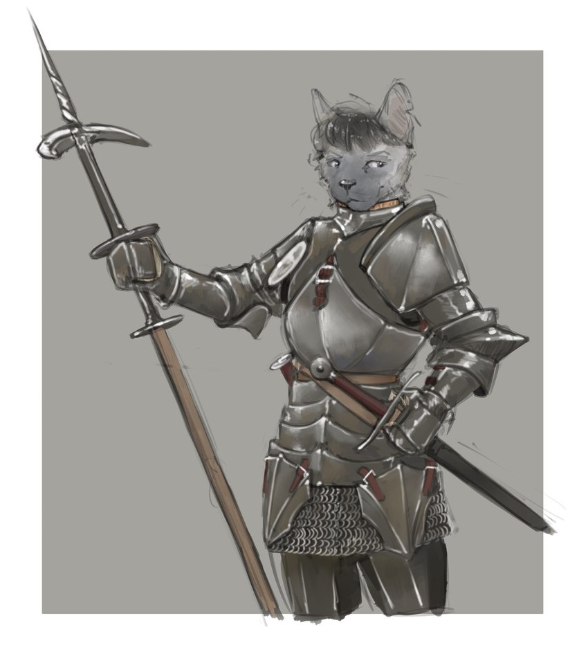 anthro bladed_weapon chainmail hair holding_object holding_weapon male medieval_armor melee_weapon polearm scabbard solo spear straps sword two_tone_face weapon banoncat banoncat_(character) domestic_cat felid feline felis mammal siamese 2023 hi_res