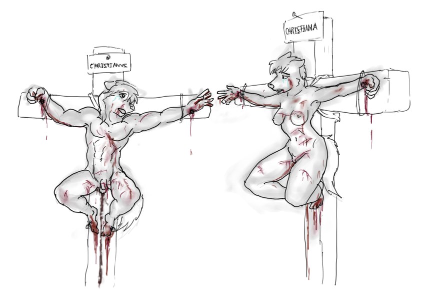 anthro arm_torture arms_tied blood blood_on_arm blood_on_chest blood_on_face blood_on_feet blood_on_foot blood_on_hand blood_on_leg blood_on_legs blood_on_stomach bodily_fluids bound breasts cross crucifixion crying desperation disgrace duo excessive_blood execution exposed exposed_breasts feels female flaccid foot_torture foot_wound forced forced_exposure forced_presenting genitals gore gore_focus hand_torture hand_wound humiliation last_effort limb_torture looking_at_another male male/female martyr nail_(weapon) nailed nude nude_anthro nude_female nude_male on_display penis presenting presenting_balls presenting_breasts presenting_penis presenting_pussy public public_disgrace public_display public_execution public_exposure public_humiliation public_nudity pussy reaching_towards_another sign simple_background tears torture torture_device unwanted_exposure white_background wrists_tied hadalmartian ambiguous_species sketch