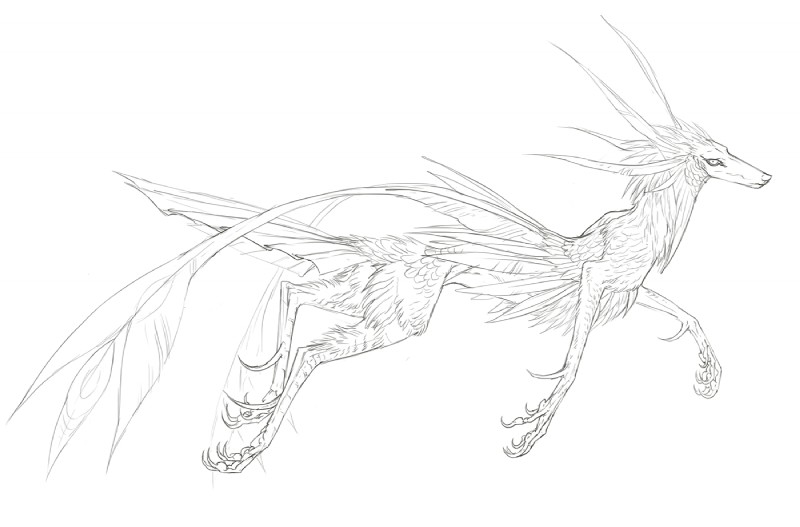 feathers feral simple_background solo spikes spikes_(anatomy) spurs spurs_(anatomy) tuft white_background nukerooster feonix line_art monochrome sketch