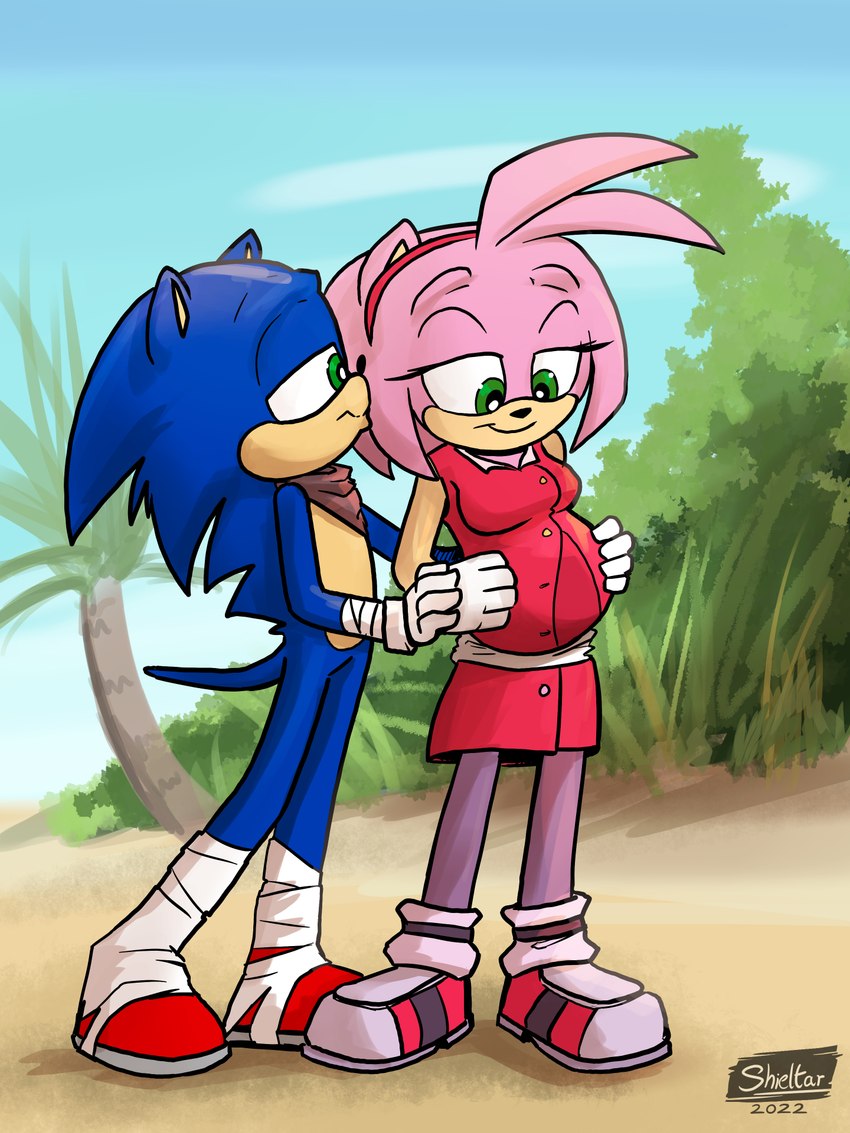 anthro blue_body blue_fur breasts clothed clothed/nude clothed_female clothing dress duo female footwear fur green_eyes hair kissing male male/female narrow_hips nude pink_body pink_fur pink_hair pregnant pregnant_anthro pregnant_female shoes thigh_gap thin_calves thin_legs thin_thighs shieltar sega sonic_boom sonic_the_hedgehog_(series) amy_rose sonic_the_hedgehog eulipotyphlan hedgehog mammal 2022 3:4 hi_res