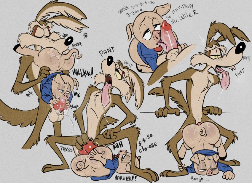 anal anal_penetration animal_genitalia animal_penis anthro canine_genitalia canine_penis duo genitals knot licking male male/male oral penetration penile penis penis_lick rimming sex tongue tongue_out tush_(artist) looney_tunes warner_brothers porky_pig wile_e._coyote canid canine canis coyote domestic_pig mammal suid suine sus_(pig) absurd_res hi_res