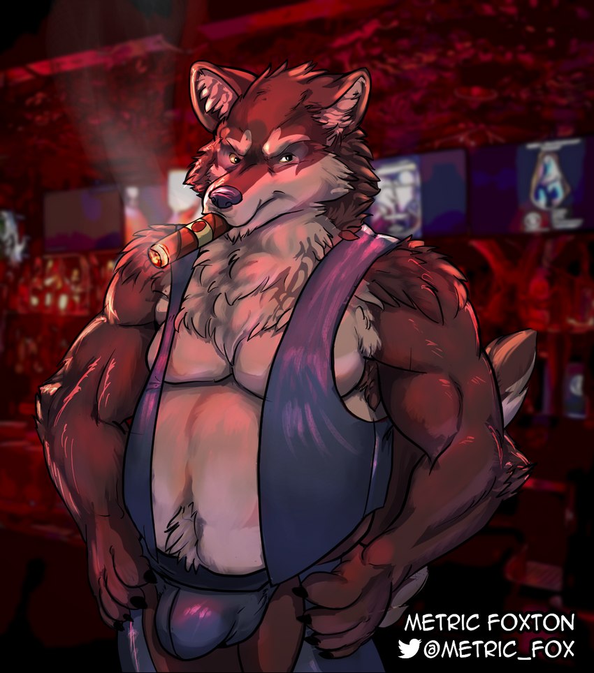 chazz cigar clothing leather leather_clothing male musclegut muscular metric_fox canid canine canis mammal wolf hi_res