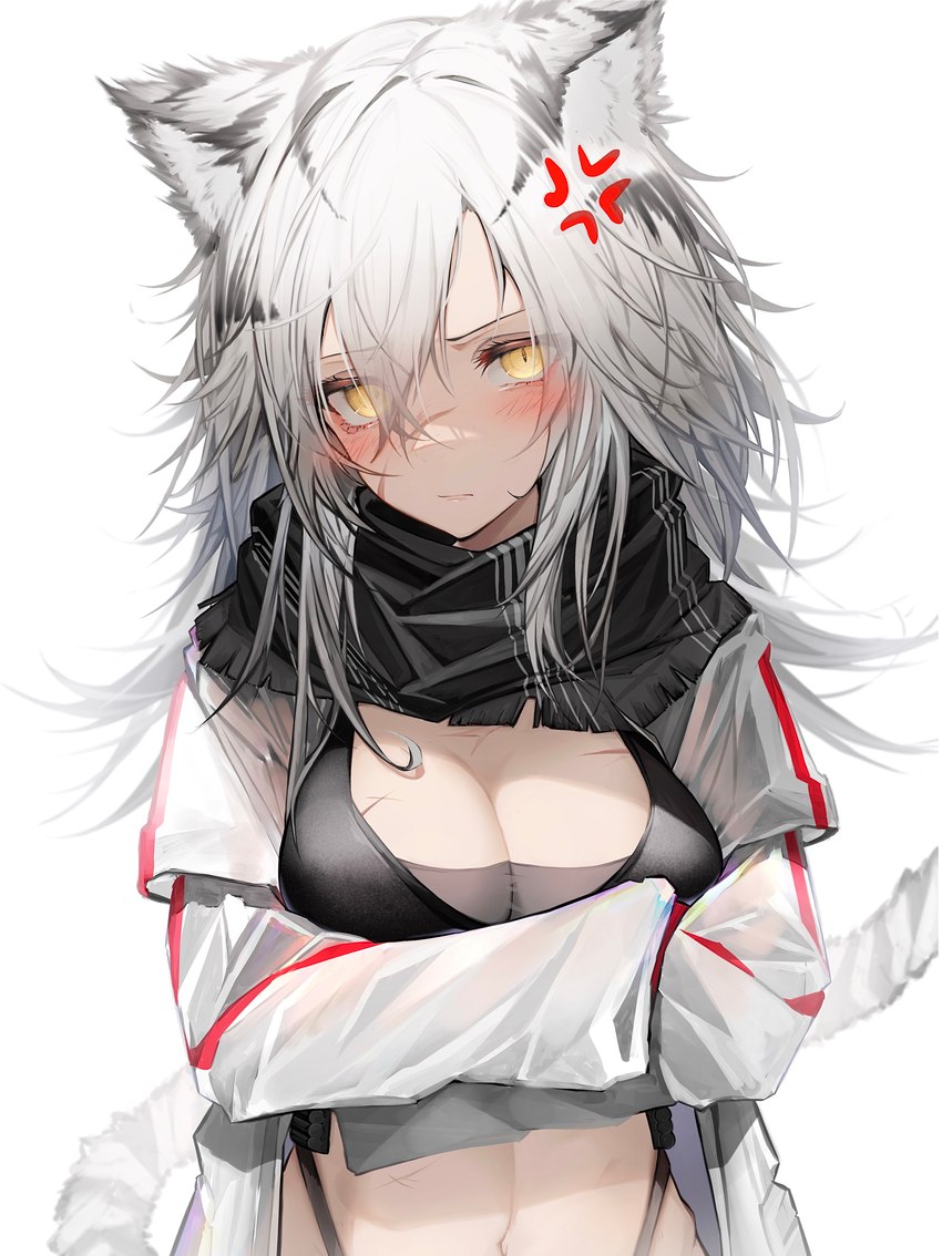 alternate_costume annoyed black_body black_fur blush breasts cleavage clothed clothing cross-popping_vein crossed_arms female female_humanoid fluffy_ears fur grey_body grey_fur grey_hair hair jacket looking_at_viewer multicolored_ears multicolored_tail pupils scar scarf simple_background slit_pupils solo tail topwear white_background yellow_eyes tabhead arknights hypergryph studio_montagne indra_(arknights) animal_humanoid felid felid_humanoid humanoid mammal mammal_humanoid pantherine pantherine_humanoid tiger_humanoid 2021 absurd_res alternate_version_at_source digital_media_(artwork) hi_res