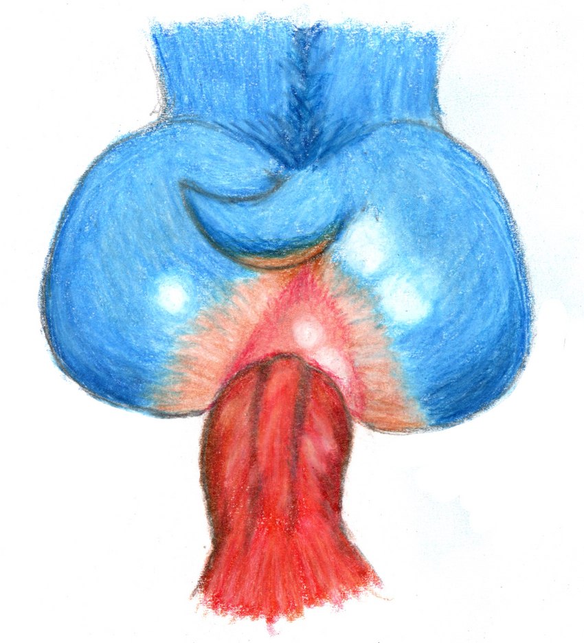 anal anthro anus butt duo genitals male male/male penis vein veiny_penis enlisentity sega sonic_the_hedgehog_(series) knuckles_the_echidna sonic_the_hedgehog echidna eulipotyphlan hedgehog mammal monotreme hi_res