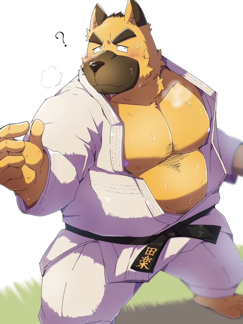 anthro belly big_belly black_nose blush bodily_fluids brown_body brown_fur fur humanoid_hands keikogi kemono male martial_arts_uniform moobs nipples overweight overweight_male question_mark solo sportswear sweat emufu canid canine canis domestic_dog mammal 2022 hi_res