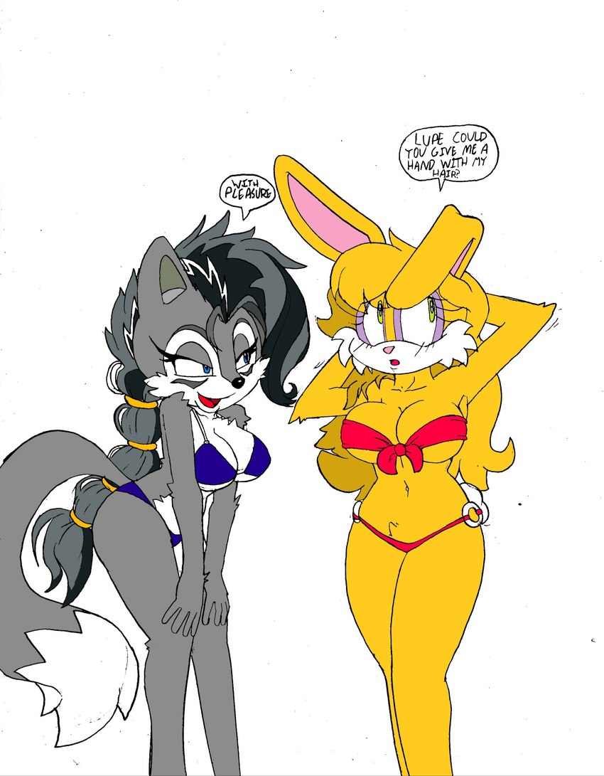 anthro big_breasts bikini blush breasts clothed clothing duo female fur navel predator/prey swimwear two-piece_swimsuit under_boob superbunnygt archie_comics sega sonic_the_hedgehog_(archie) sonic_the_hedgehog_(comics) sonic_the_hedgehog_(series) bunnie_rabbot lupe_the_wolf canid canine canis lagomorph leporid mammal rabbit wolf absurd_res colored hi_res