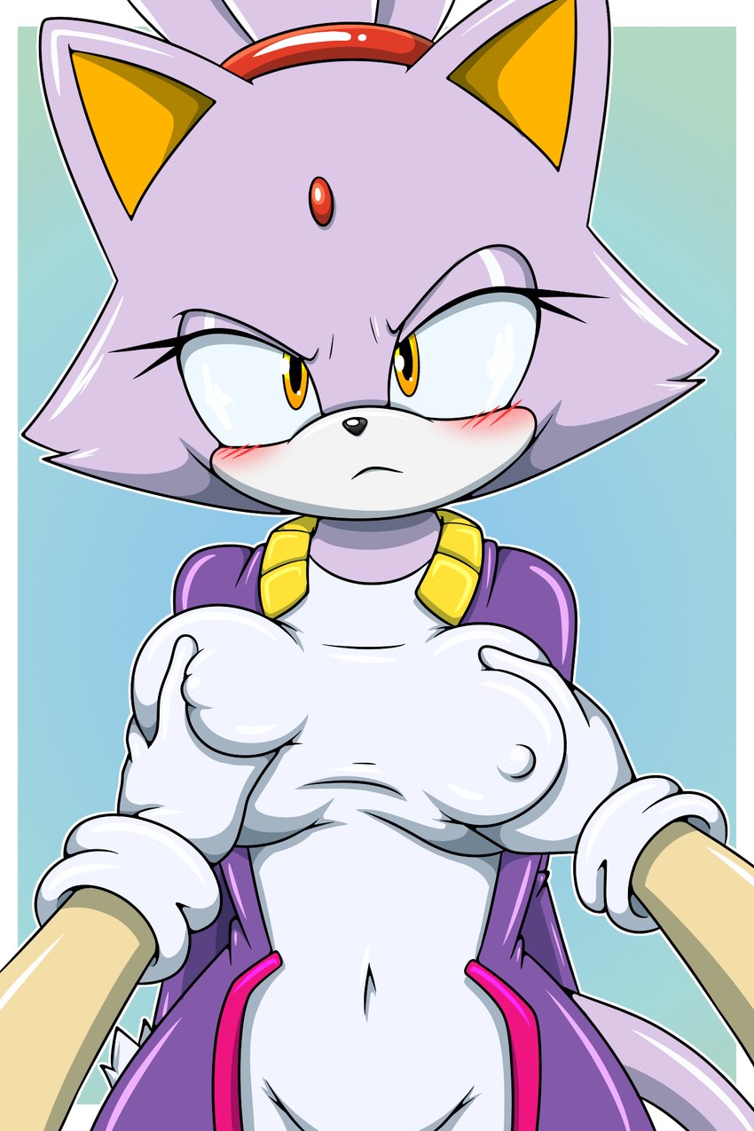 anthro black_nose blush breast_grab breasts clothed clothing female forehead_gem fur gem grabbing_both_breasts hand_on_another's_breast hand_on_breast looking_at_viewer nipple_outline purple_body purple_fur yellow_eyes sonicguru sega sonic_the_hedgehog_(series) blaze_the_cat domestic_cat felid feline felis mammal 2:3 hi_res