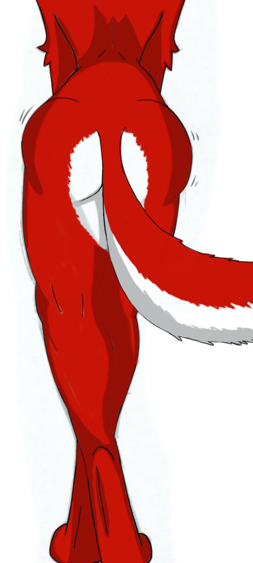 anthro butt female fur multicolored_body red_body red_fur solo two_tone_body white_body white_fur alfa_wolf10! flare_(alfa_wolf10!) flare_rains canid canine canis mammal red_wolf wolf absurd_res hi_res