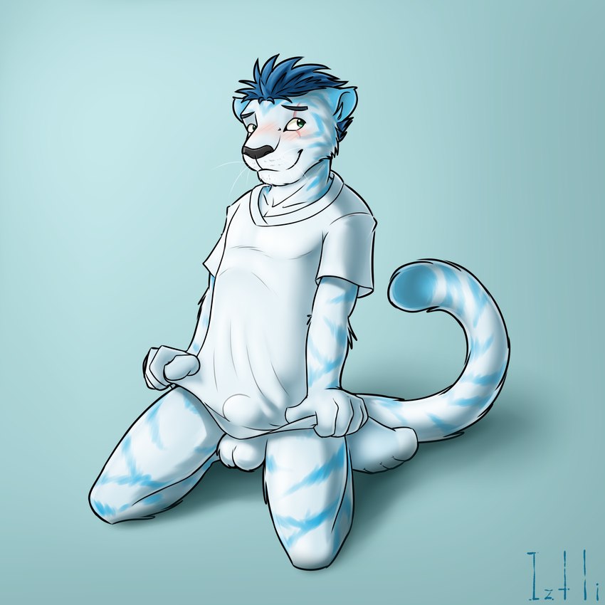 anthro balls biped bottomless bulge clothed clothing covering covering_self genitals kneeling leucistic male scar shirt solo topwear iztli storm-tiger felid mammal pantherine tiger 1:1 2014 digital_media_(artwork) hi_res shaded