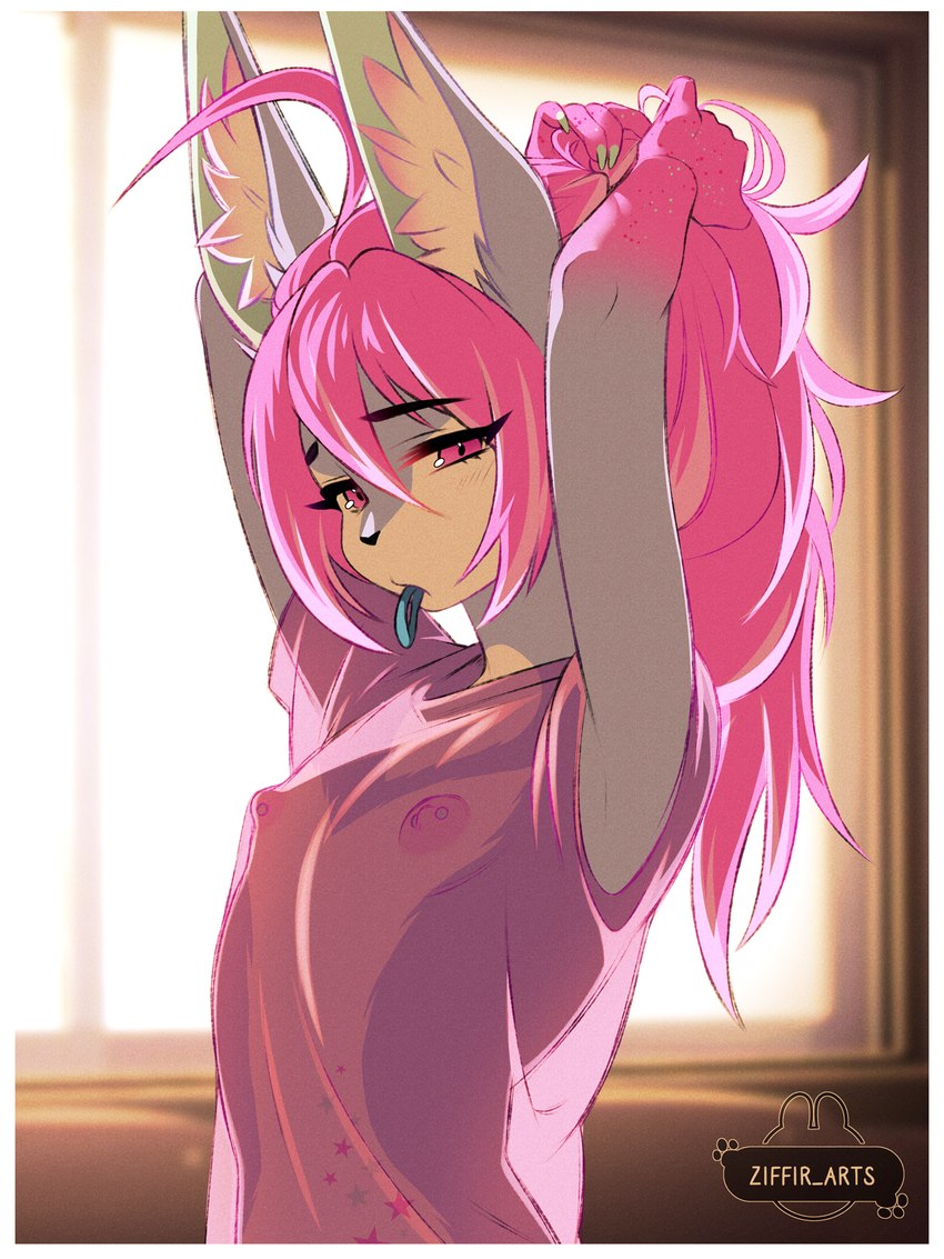 clothing eyelashes femboy fur grey_body hair inner_ear_fluff looking_at_viewer male nipple_piercing nipples object_in_mouth piercing pink_hair pupils solo translucent translucent_clothing tuft ziffir canid canine lagomorph leporid mammal rabbit 3:4 hi_res