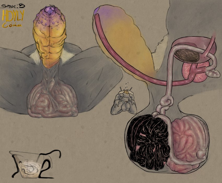 anatomy anthro ball_bulge ball_growth ball_inflation balls balls_expansion bladder bodily_fluids body_hair cock_vore cum cum_in_a_cup cum_in_container cutaway diagram digitigrade epididymis erection expansion foreskin front_view genital_expansion genital_fluids genital_growth genitals glans gooning goreless gradient_penis growth infestation infested_cum infesticles inflamation internal logo male masturbation neck_tuft nipple_piercing nipples nude nude_anthro nude_male organs parasite penile penis piercing prostate pubes side_profile side_view tuft urethra urethra_worm urethral urine vein veiny_penis vore hdyly miel_the_bumblebee anthro_insect arthropod bee bumble_bee_(species) hymenopteran insect absurd_res artist_logo artist_name colored digital_media_(artwork) hi_res huge_filesize signature