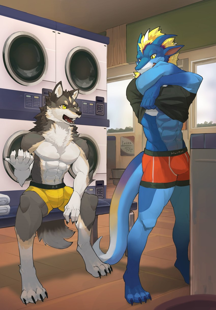 anthro appliance bench boxers_(clothing) bulge clothed clothing duo laundromat laundry laundry_machine male male/male nude partially_clothed underwear undressing washing_machine zephyxus mythology teryx favonius teryx_commodore canid canine canis dragon mammal mythological_creature mythological_scalie rain_dragon scalie wolf 2024 hi_res