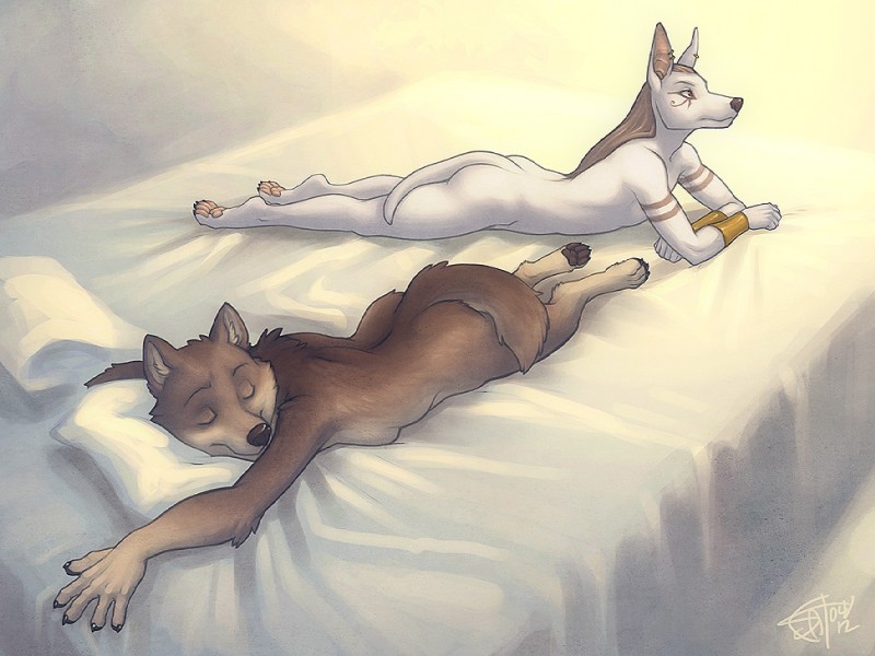 anthro bed breasts duo eyes_closed female fur furniture lying male on_bed on_front side_boob sleeping tail white_body white_fur merystic wepwawet anubian_jackal canid canine canis jackal mammal wolf 2012 4:3