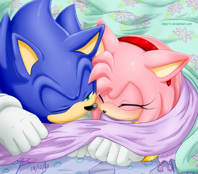 amy rose and sonic the hedgehog (sonic the hedgehog (series) and etc) created by myly14