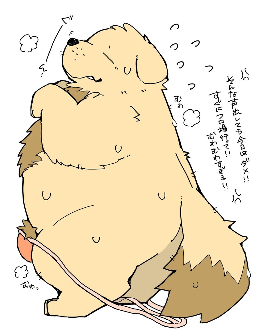 anthro body_hair brown_body bulge chest_hair clothing eyes_closed kemono male overweight overweight_male pubes simple_background solo text underwear white_background gayousi7 canid canine canis domestic_dog mammal 2024 hi_res japanese_text