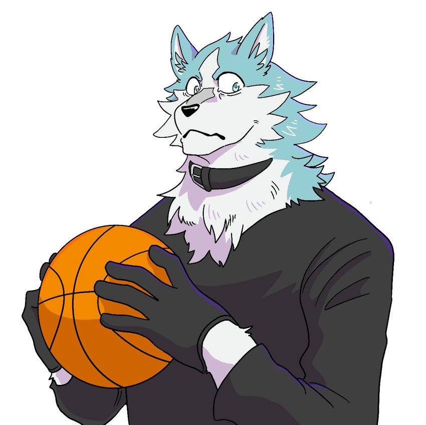 anthro ball basketball_(ball) black_clothing black_gloves black_handwear black_shirt black_topwear blue_body blue_eyes blue_fur clothed clothing collar fur gloves handwear holding_ball holding_object male multicolored_body multicolored_fur shirt simple_background solo topwear two_tone_body two_tone_fur white_background white_body white_clothing white_fur white_shirt white_topwear kurumiken brand_new_animal studio_trigger shirou_ogami canid canine canis mammal wolf