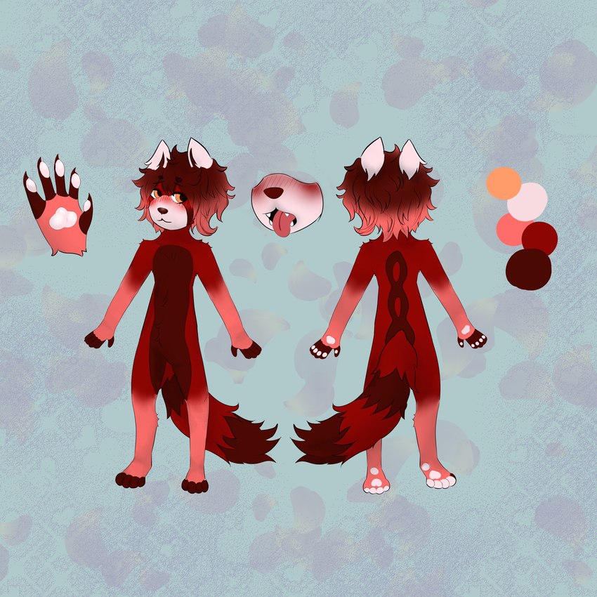 4_toes 5_fingers anthro blue_background blush feet fingers fur grey_background hair long_tail male model multicolored_hair nude orange_eyes pawpads pink_body pink_fur pink_pawpads pink_tongue red_body red_fur red_hair simple_background solo tail toes tongue tongue_out two_tone_hair twinkworshiper8 lil_weenie_(character) ailurid mammal red_panda 1:1 absurd_res hi_res