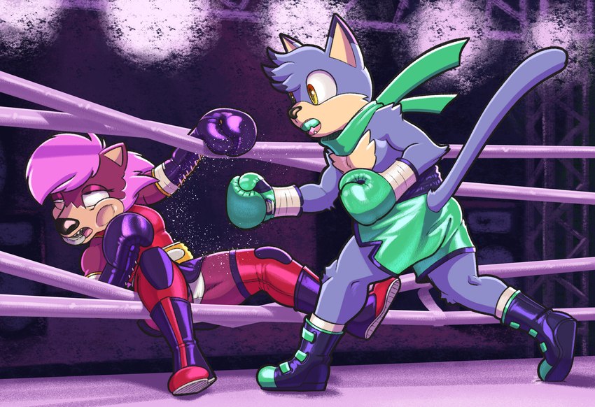 anthro armwear boots bottomwear boxing boxing_gloves clothing duo elbow_gloves female fight fighting_ring footwear gloves handwear legwear male male/female mouthguard scarf shoes shorts skirt sport thigh_highs underwear dcheese sega sonic_the_hedgehog_(series) sonic_underground fan_character sonia_the_hedgehog domestic_cat eulipotyphlan felid feline felis hedgehog mammal 2024 digital_media_(artwork) hi_res