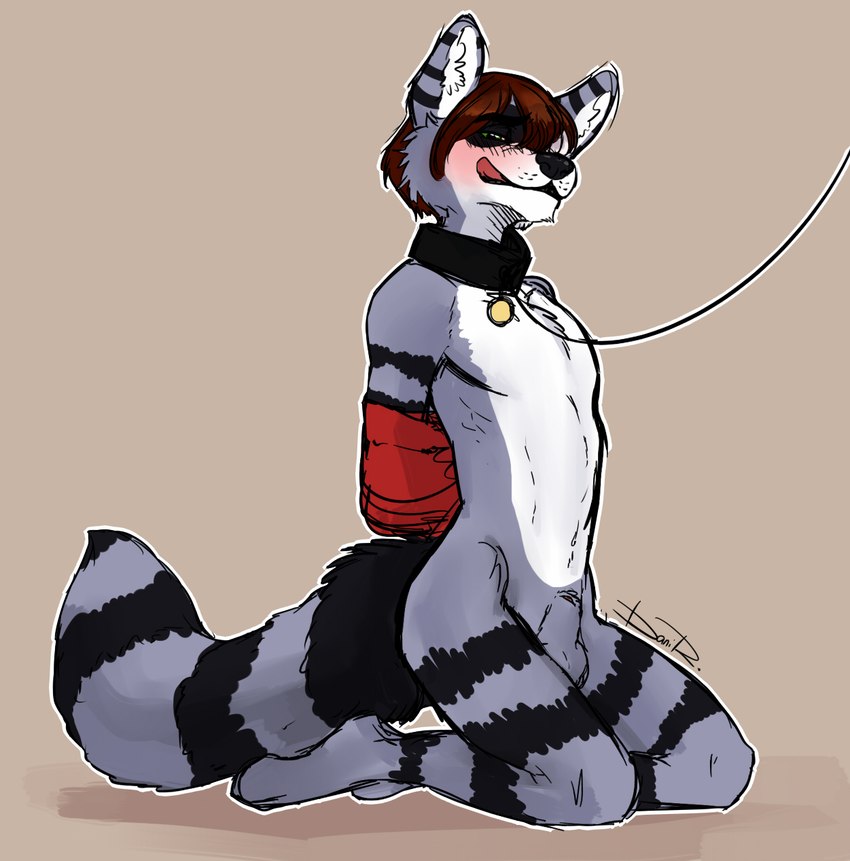 anthro arms_tied balls bdsm bound collar genitals kneeling licking licking_lips licking_own_lips male penis solo tongue tongue_out devellix rocko_ziggs mammal procyonid raccoon hi_res