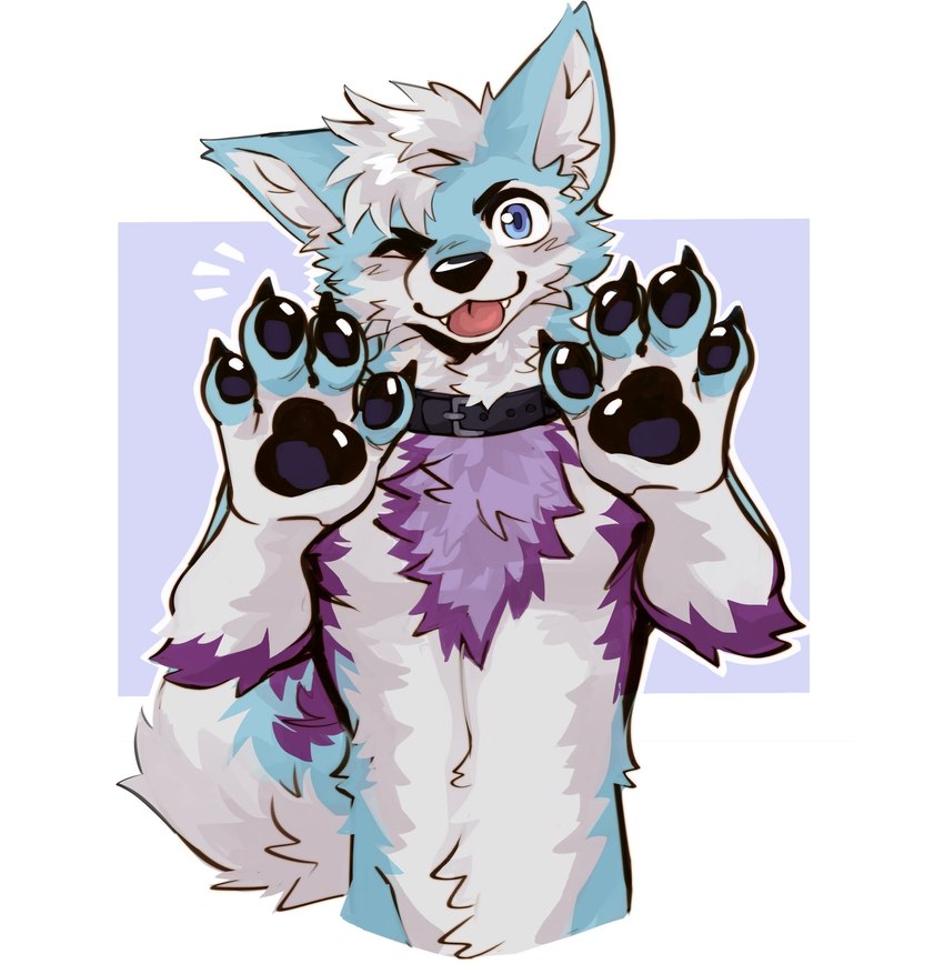 4_fingers anthro biped black_pawpads blep blue_body blue_eyes blue_fur countershade_fur countershading fingers fur looking_at_viewer male one_eye_closed pawpads purple_body purple_fur slim_anthro slim_male solo tongue tongue_out white_body white_countershading white_fur atkaso canid canine fox mammal 2024 hi_res