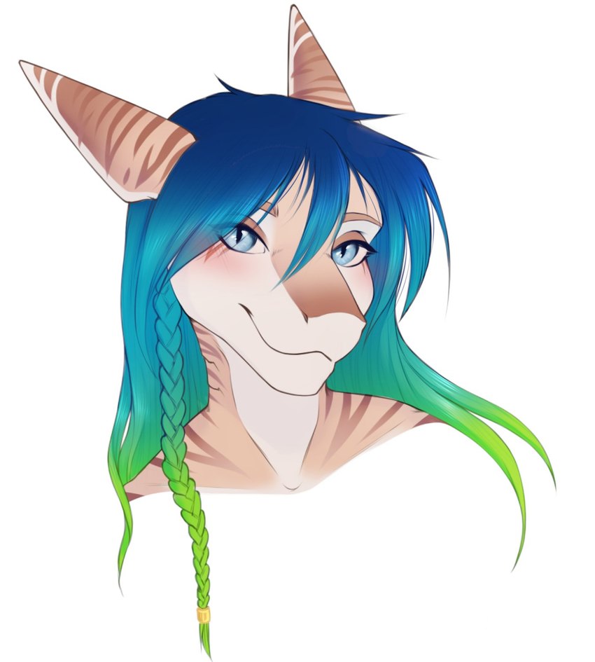 anthro blue_eyes braided_hair eyebrows eyelashes female female_anthro hair looking_at_viewer smile solo dafka fish marine shark digital_media_(artwork) headshot_portrait hi_res portrait