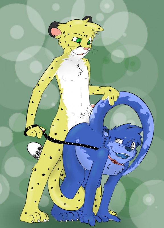 anthro bent_over blue_nose blue_tongue collar dominant dominant_male duo erection foreskin fur genitals green_eyes grey_body grey_fur humanoid_genitalia humanoid_penis leash male male/male penis pink_nose submissive submissive_male tongue whiskers knox_(artist) knox_(otter) salmy cheetah felid feline mammal mustelid otter hi_res