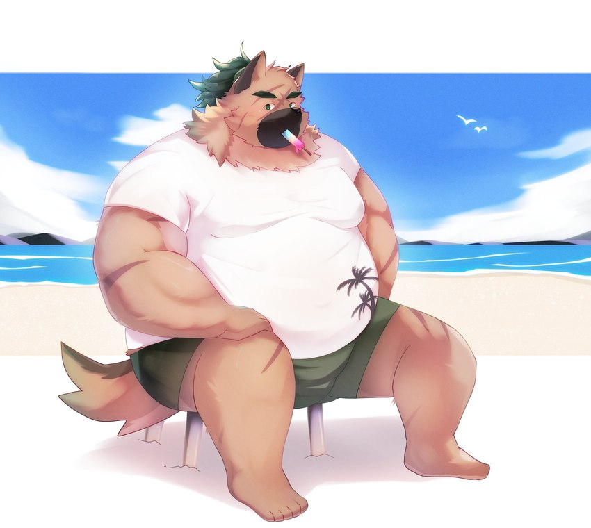 anthro beach belly big_belly bottomwear clothing food kemono male obese obese_male outside overweight overweight_male popsicle scar seaside shirt shorts sitting solo topwear sora_idiotka lifewonders tokyo_afterschool_summoners yasuyori_(tas) canid canine canis domestic_dog mammal 2023 hi_res