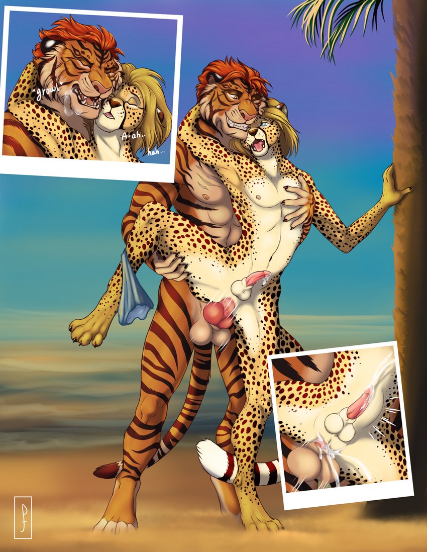 abdominal_bulge ahegao anal anal_knotting anal_penetration animal_genitalia animal_penis anthro anthro_on_anthro anthro_penetrated anthro_penetrating anthro_penetrating_anthro anus athletic athletic_anthro balls beach blue_eyes bodily_fluids breath brown_body brown_fur canine_genitalia canine_penis claws clothing cum cum_in_ass cum_inside cum_while_penetrated cumshot digitigrade discarded_clothing discarded_underwear duo ejaculation erection eye_contact eyes_closed fangs feline_genitalia feline_penis from_behind_position fur genital_fluids genitals grin growling knot knotting leg_grab looking_at_another looking_pleasured male male/male male_penetrated male_penetrating male_penetrating_male markings mismatched_animal_penis mismatched_genitalia mismatched_penis moan navel nipples nude open_mouth outdoor_nudity outside outside_sex palm_tree paws penetration penile penile_penetration penis penis_in_ass plant sand sea sex sheath sky slim small_waist smile sound_effects spots spotted_body spotted_fur spread_legs spreading standing striped_body striped_fur stripes tail teeth thrusting tongue tree underwear water white_body white_fur yellow_body yellow_fur alexvalyutin priestofjashin cheetah felid feline mammal pantherine tiger digital_drawing_(artwork) digital_media_(artwork) hi_res