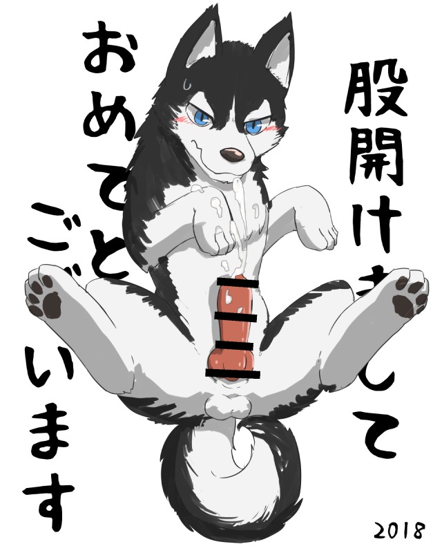 black_body black_fur blue_eyes blush bodily_fluids cum cum_on_penis cum_on_self erection feral fur genital_fluids genitals looking_at_viewer male penis simple_background solo text white_background white_body white_fur manoreo canid canine canis domestic_dog mammal 4:5 censored hi_res japanese_text