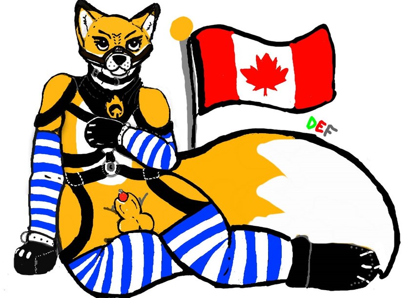 animal_genitalia anthro arm_warmers armwear balls bondage_gear bondage_gloves canada canadian_flag clothing countershading crossgender cuff_(restraint) femboy flag flag_(object) ftm_crossgender genitals handwear harness kerchief legwear male penis penis_tip restraints sheath simple_background sitting solo sounding_rod thigh_highs urethral white_background drepicfrag firesmartcanada ember_the_firesmart_fox canid canine fox mammal colors!_3d_(artwork) digital_media_(artwork)