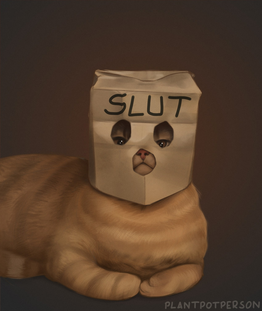 ambiguous_gender brown_background feral humor looking_at_viewer lying mask on_front paper_bag paper_bag_mask simple_background solo text plantpotperson dogshaming domestic_cat felid feline felis mammal english_text hi_res meme signature