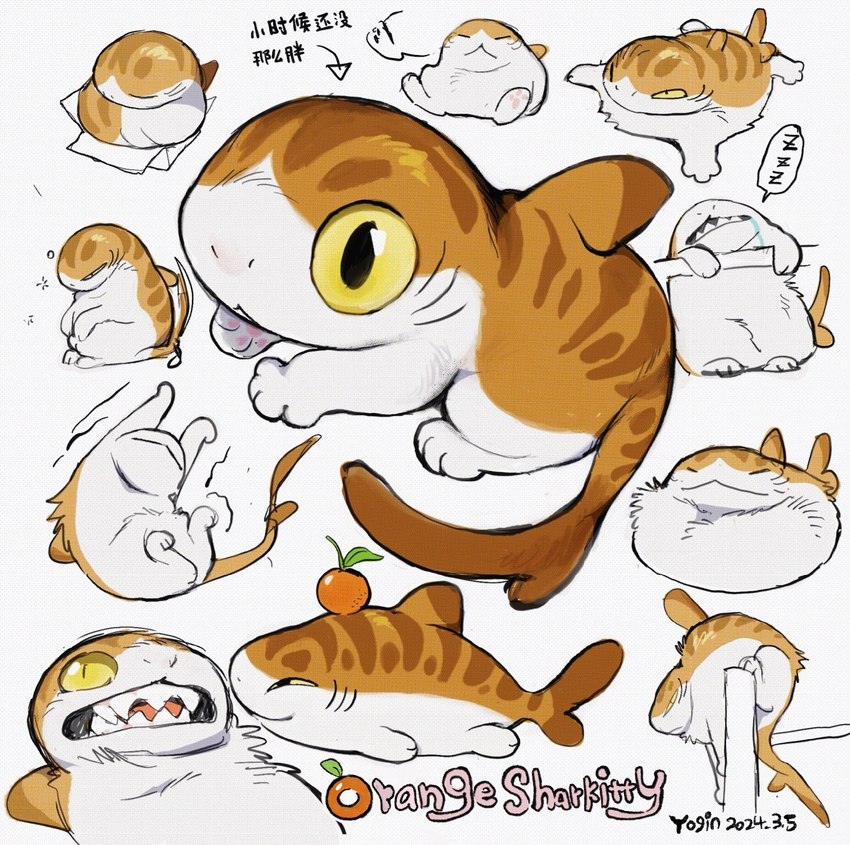 ambiguous_gender feral food fruit multiple_poses orange_(fruit) plant pose sharp_teeth sleeping solo sound_effects tail teeth text vowelless vowelless_sound_effect zzz yogin domestic_cat felid feline felis fish hybrid mammal marine shark chinese_text english_text hi_res translated