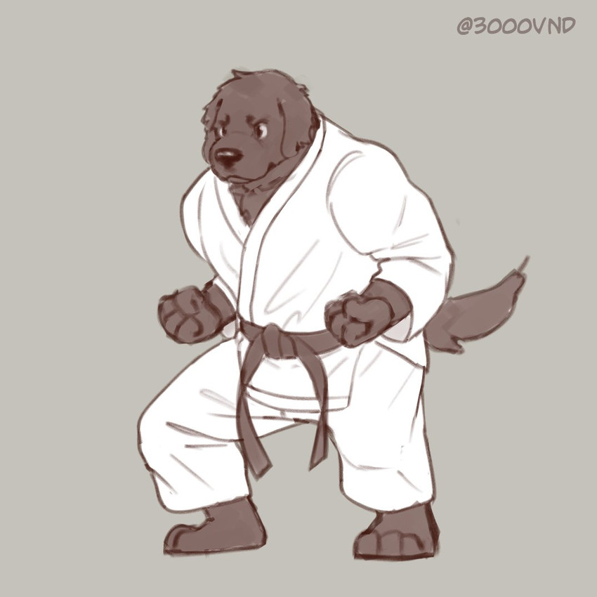 anthro clothing karate karate_outfit male martial_arts muscular muscular_anthro muscular_male solo sport 3000vnd canid canine canis domestic_dog mammal 1:1