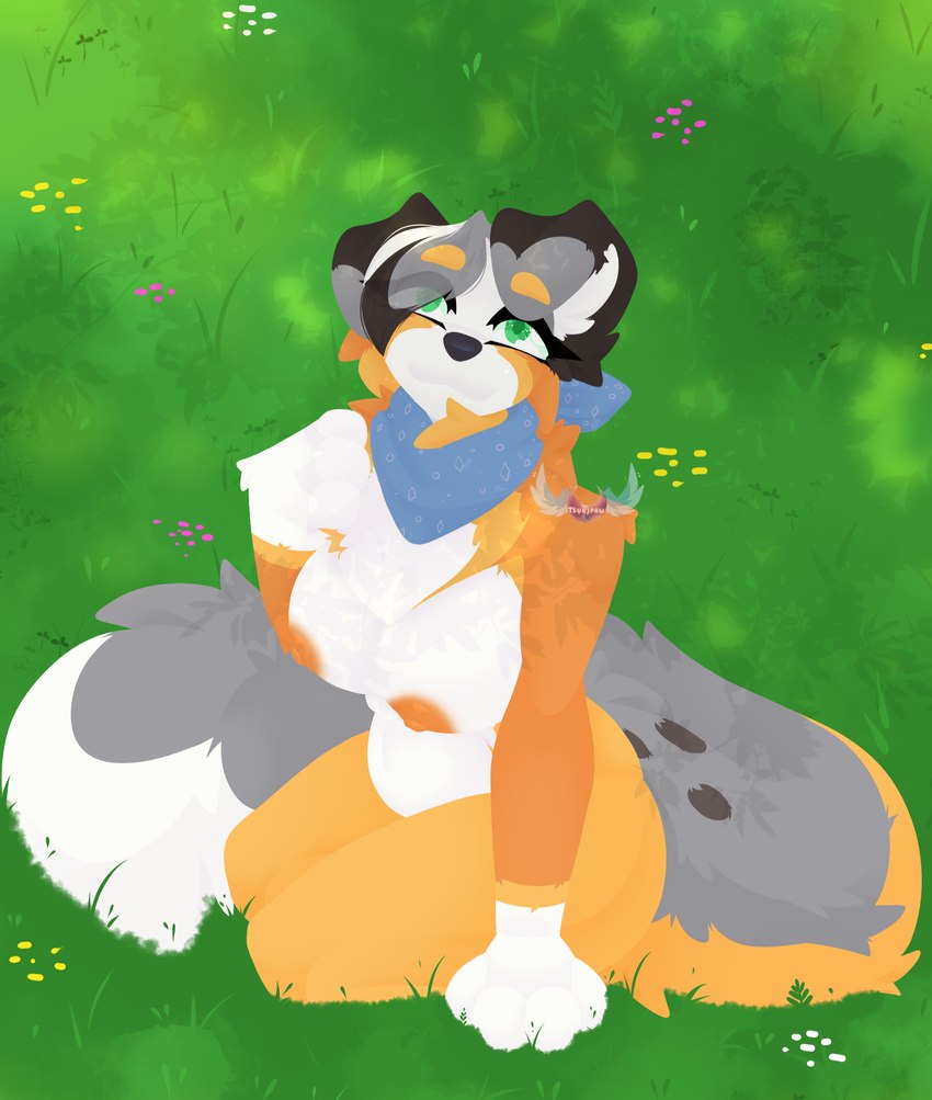 anthro belly big_breasts breasts cheek_tuft detailed_background facial_tuft female floppy_ears fluffy fluffy_tail fur grass green_eyes grey_body grey_fur grey_nose hair kerchief long_tail looking_up multicolored_body multicolored_fur neck_tuft on_ground orange_body orange_fur paws perspective plant shadow short_hair slightly_chubby smile snout solo tail teacher thick_thighs tuft white_body white_fur tsukipaw bluey_(series) calypso_(bluey) australian_shepherd canid canine canis domestic_dog herding_dog mammal pastoral_dog sheepdog absurd_res detailed hi_res shaded