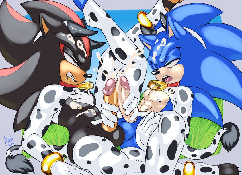 shadow the hedgehog and sonic the hedgehog (sonic the hedgehog (series) and etc) created by aoibeast