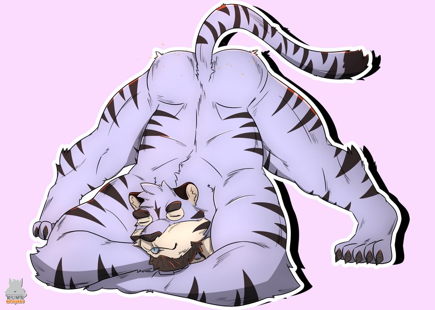 anthro ass_up facial_hair jack-o'_pose male muscular pose sleeping solo stretching trend kuma_richards felid mammal pantherine tiger absurd_res hi_res