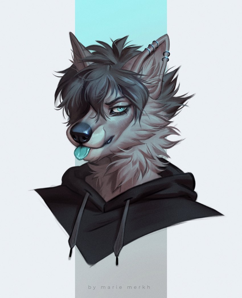 anthro black_clothing black_hoodie black_nose black_topwear blep blue_eyes blue_tongue cheek_tuft clothed clothing ear_piercing ear_ring eyelashes facial_tuft front_view fur glistening glistening_eyes grey_body grey_fur grey_hair grey_inner_ear grey_inner_ear_fluff hair hoodie inner_ear_fluff looking_at_viewer male messy_hair neck_tuft piercing ring_piercing short_hair simple_background solo tongue tongue_out topwear tuft marie_merkh canid mammal absurd_res artist_name bust_portrait hi_res portrait