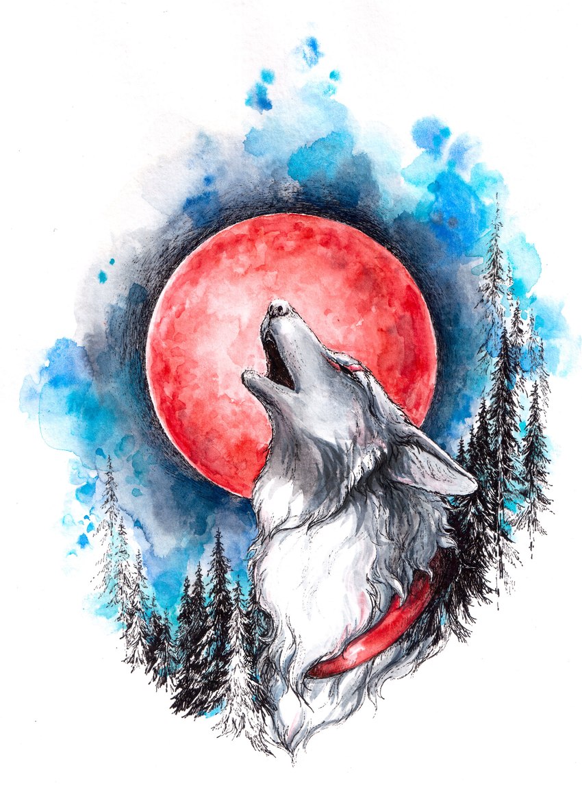 black_nose blood_moon blue_background ears_back evergreen_tree eye_scar facial_scar feral forest forest_background fur howl howling_at_the_moon male moon nature nature_background open_mouth pine_tree pivoted_ears plant scar simple_background solo tree white_background white_body white_fur elkir canid canine canis mammal wolf 2021 absurd_res color_contrast hi_res painting_(artwork) traditional_media_(artwork) watercolor_(artwork)