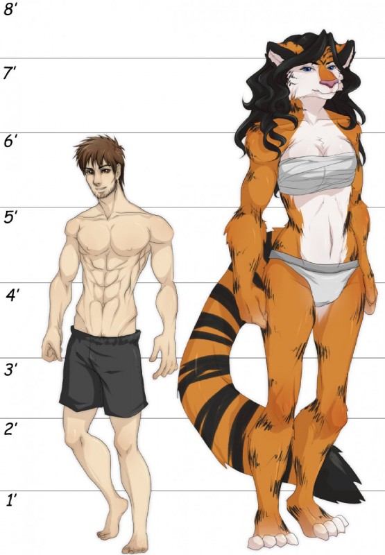 abs anthro athletic athletic_anthro athletic_female athletic_human athletic_male barefoot biceps black_body black_fur black_hair blue_eyes bottomwear boxers_(clothing) breasts brown_eyes brown_hair chart chest_wraps claws cleavage clothed clothing duo feet female fluffy fluffy_tail front_view fur grin hair height_chart larger_anthro larger_female male muscular muscular_anthro muscular_female nipples orange_body orange_fur panties paws pecs pink_nose pose shorts simple_background size_difference smaller_human smaller_male smile standing tail tall toe_claws topless topless_male underwear white_background wraps freelapse fiona_(wolfpack67) rabbit_(wolfpack67) felid human mammal pantherine tiger 2013 digital_media_(artwork) hi_res