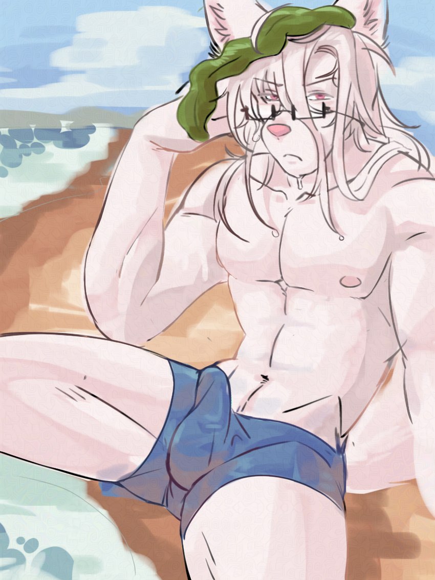 albino annoyed anthro beach biped bulge clothing detailed_bulge erection erection_under_clothing eyewear genital_outline glasses hair long_hair male male_anthro nipples penis_outline red_eyes seaside seaweed solo water wet wet_body white_hair jebedotpng yokou_(jebedotpng) canid canine fox mammal 3:4 hi_res