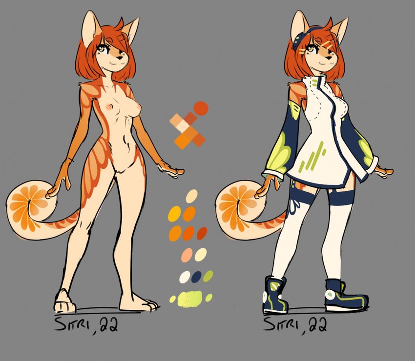 anthro arm_stockings arm_warmers armwear breasts clothed clothing female footwear fur genitals hair knee_highs legwear nipples nude orange_body orange_fur pussy red_hair shirt shoes simple_background smile solo standing tail topwear sy_noon sitri_(sy_noon) felid feline mammal 2018 digital_media_(artwork) model_sheet