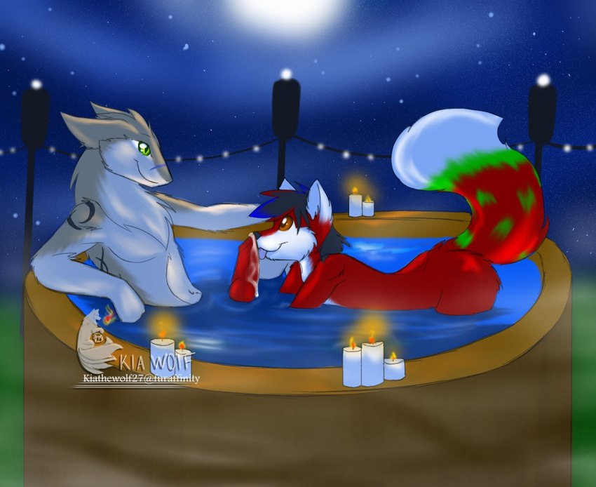 anthro duo hot_tub light male male/male moonlight night nude oral sex sky star starry_sky tail tongue tongue_out kiathewolf27 docisco hatoma canid canine fox mammal sergal