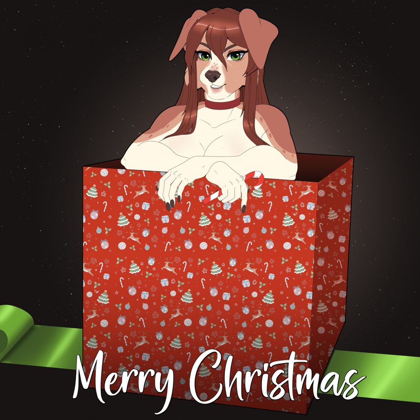 5_fingers anthro bare_shoulders big_breasts black_nose box breasts brown_body brown_fur brown_hair candy candy_cane collar container dessert female fingers food fur gift_box green_eyes hair holidays in_box in_container looking_at_viewer multicolored_body multicolored_fur sitting_in_box smile solo text two_tone_body two_tone_fur white_body white_fur pregoo christmas mckaylah australian_shepherd canid canine canis domestic_dog herding_dog mammal pastoral_dog sheepdog 1:1 2022 english_text hi_res