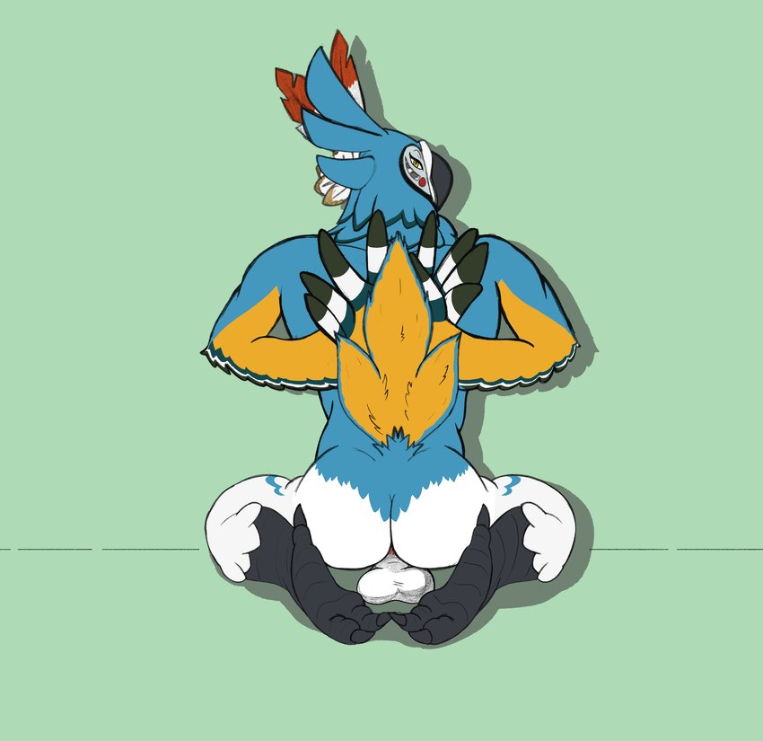 accessory anthro anus backsack balls black_talons butt feather_hands feathers feet genitals male pink_anus rear_view solo talons toes speence_(artist) breath_of_the_wild nintendo the_legend_of_zelda kass_(tloz) avian rito 2024 absurd_res hi_res