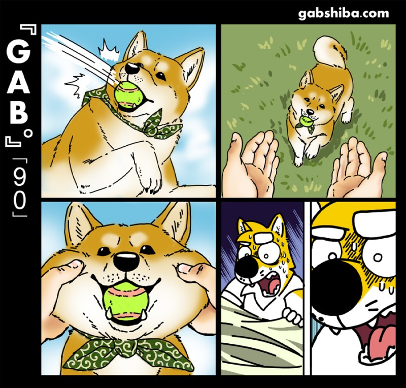 gab shiba (gab (comic)) created by gabshiba
