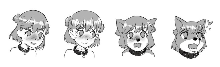 ambiguous_gender anthro base_one_layout basic_sequence blush collar cute_fangs embarrassed fangs four_frame_image four_frame_sequence hair heart_symbol human_to_anthro linear_sequence looking_at_viewer one_row_layout open_mouth short_hair simple_background smile solo species_transformation teeth tongue tongue_out transformation transformation_sequence white_background xbc9 canid canine canis domestic_dog human mammal 2019 sequence